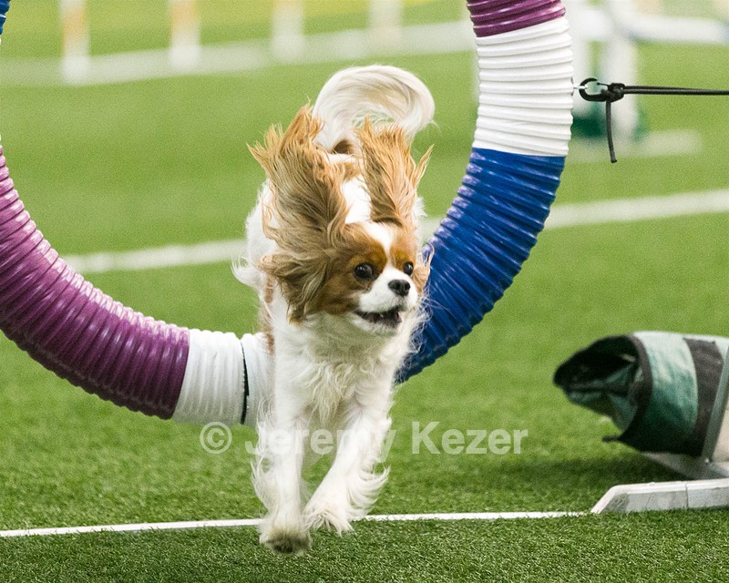 20150322-LEAP-0155.jpg