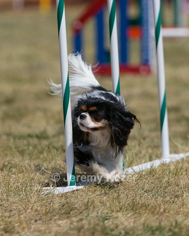 20150614-CCKC-1828.jpg