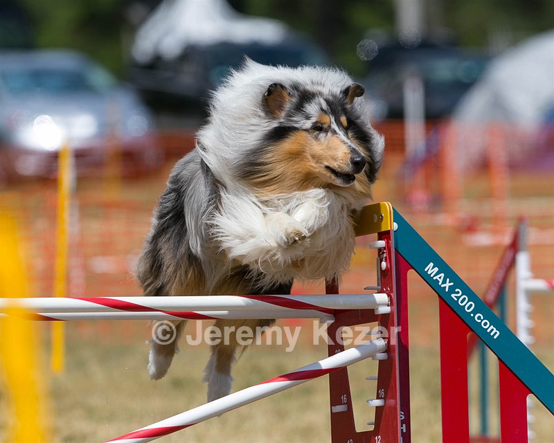 20150614-CCKC-1718.jpg