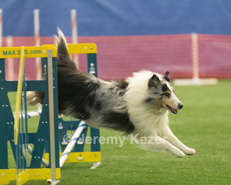 20150321-LEAP-1410.jpg