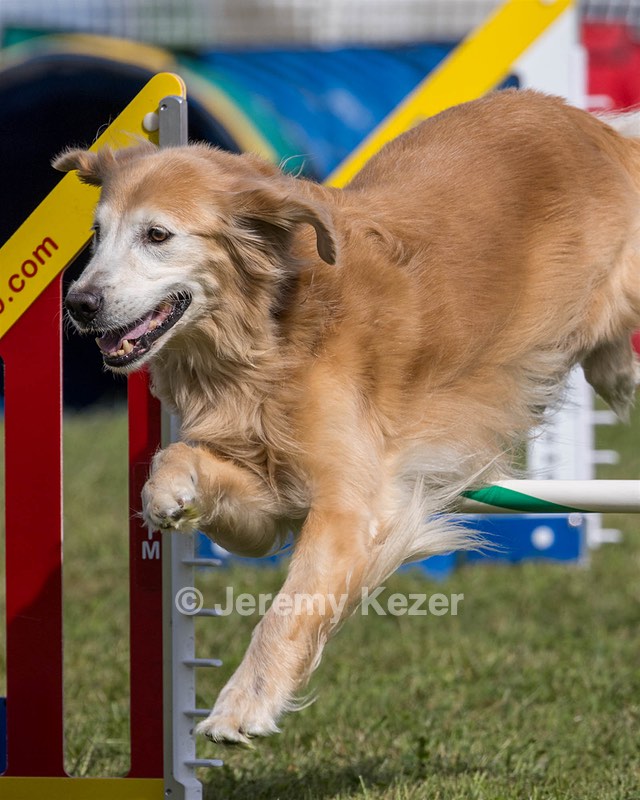 20230916-PVKC-1196.jpg