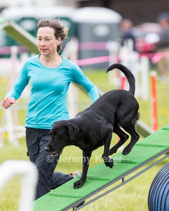 Molly Goodman