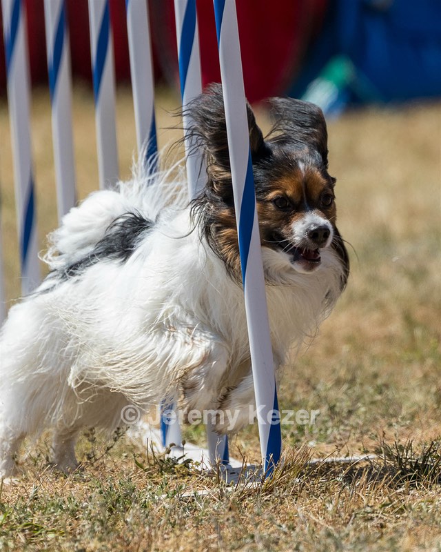 20160618-CCKC-1879.jpg
