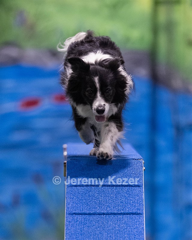 Breeze Schunk