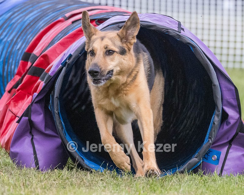 Piper Novak
