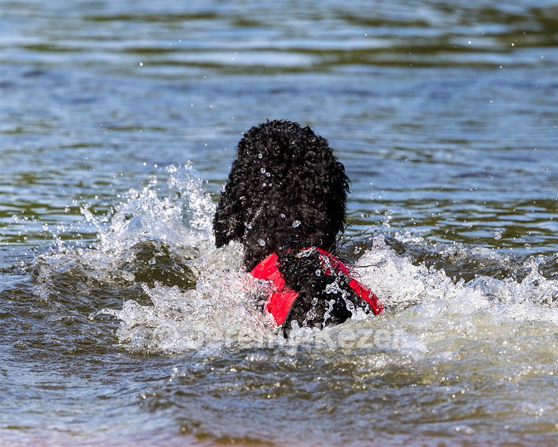 Breeze Holden