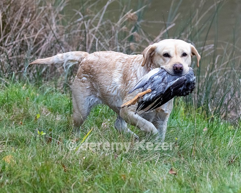 Tilly Kase