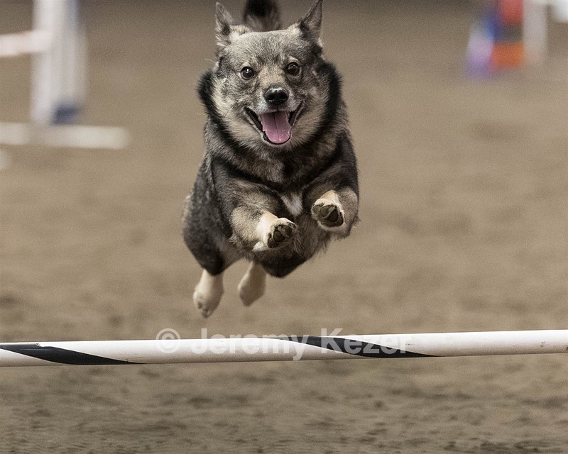 Alf Cail