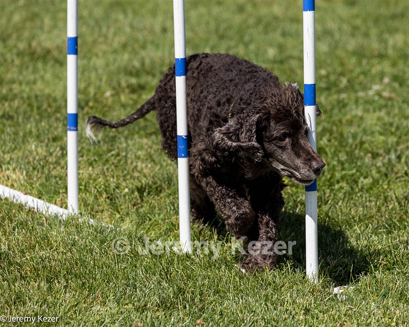 Glider
