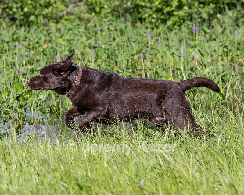 Jamie Brownell