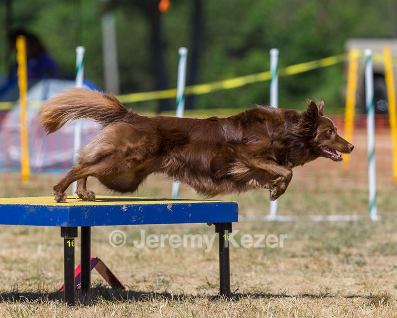 20160619-CCKC-1327.jpg
