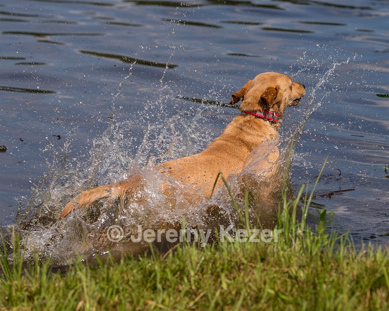 Penny Adsitt-Hager