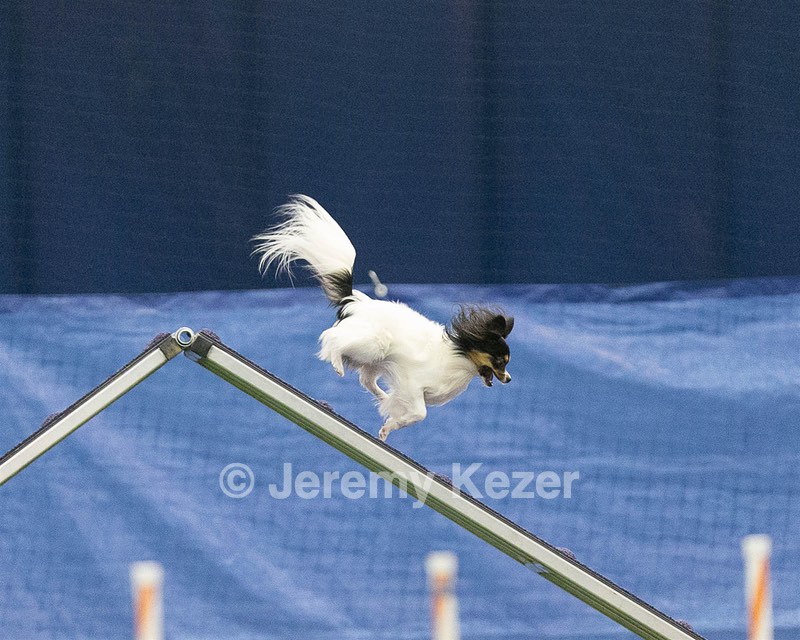 20150321-LEAP-1731.jpg