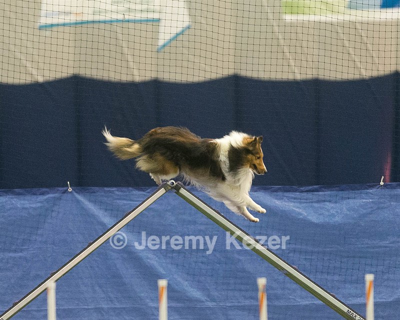20150321-LEAP-1396.jpg