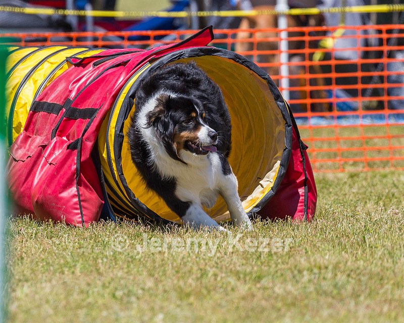 Kona Destremps