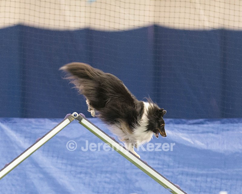 20150321-LEAP-1662.jpg