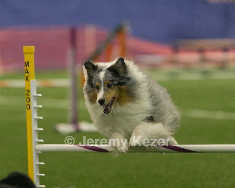 20150321-LEAP-1330.jpg