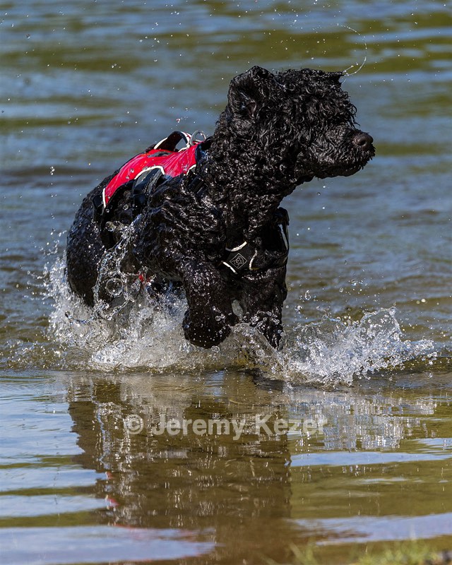 Breeze Holden