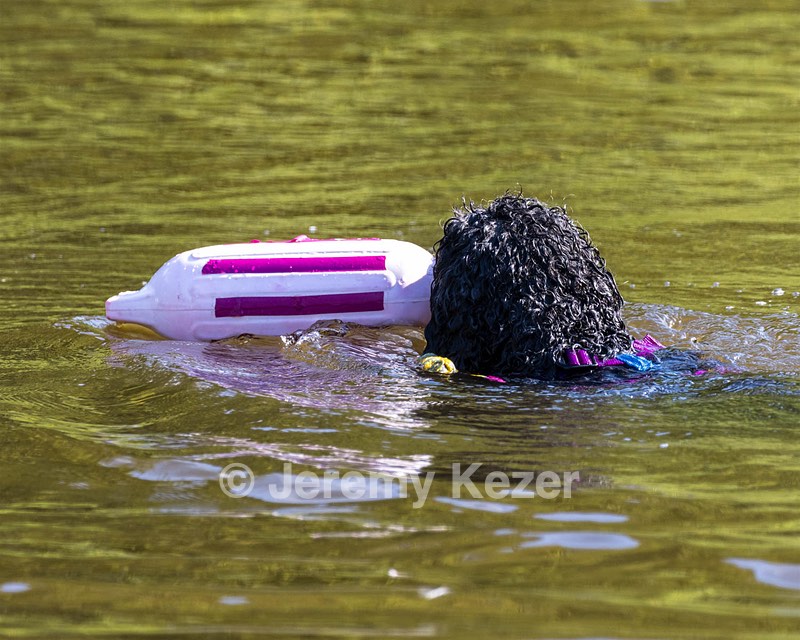 Perry