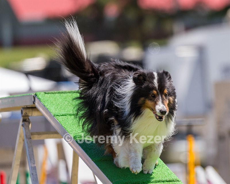 20180617-1343.jpg