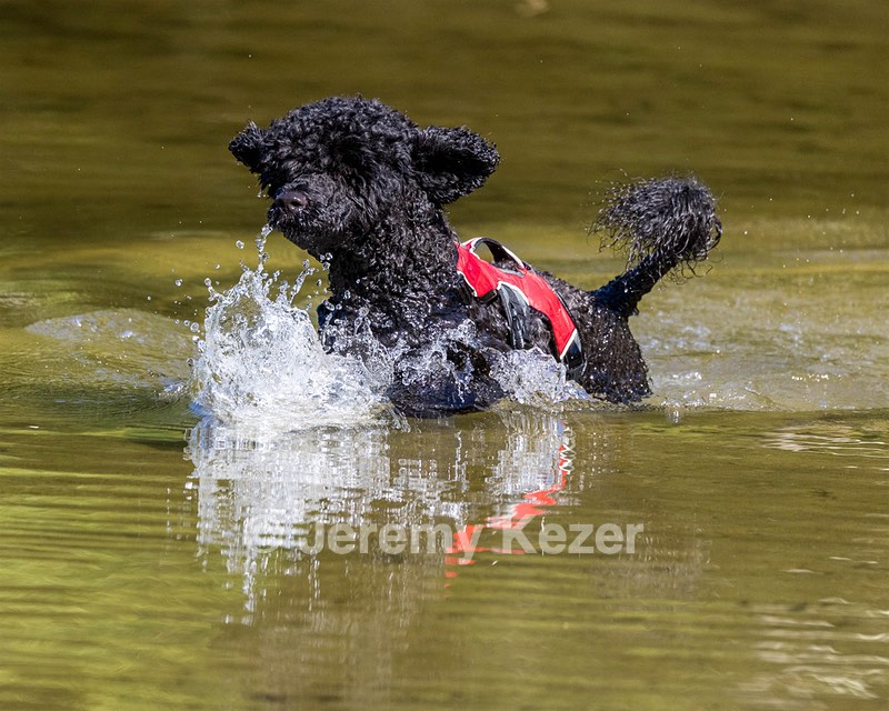 Breeze Holden