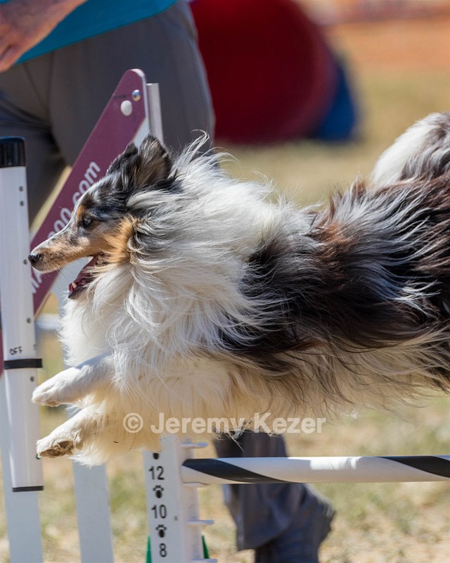 20160618-CCKC-1917.jpg