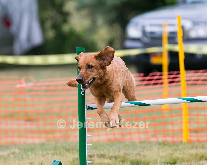 20150612-CCKC-0047.jpg