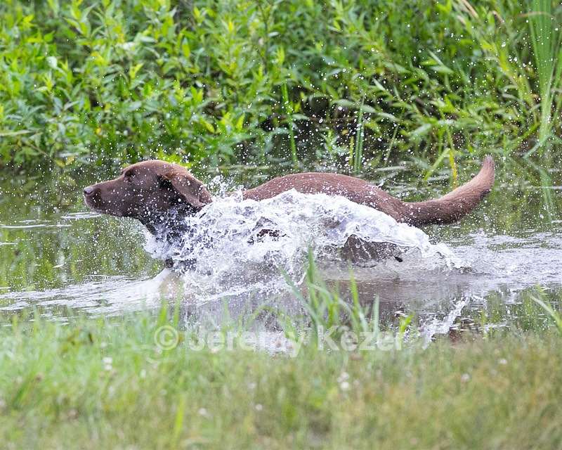 20130713-MHB2-0339.jpg