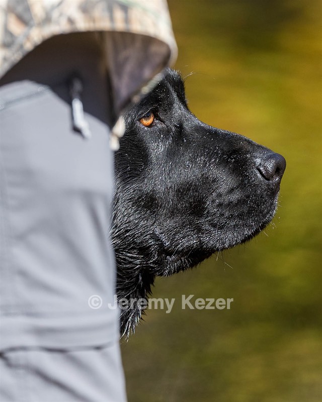 Crockett Kase