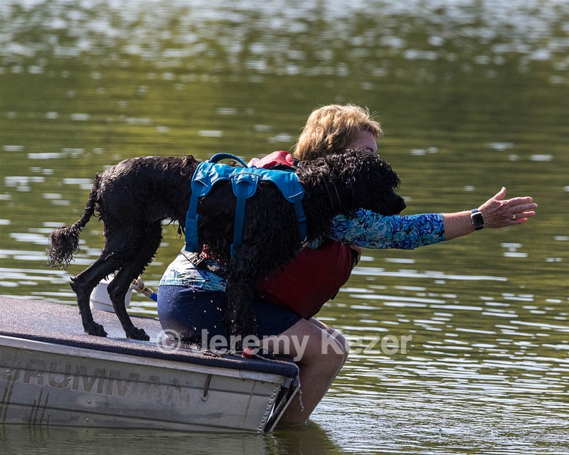 Boaty Bellicose