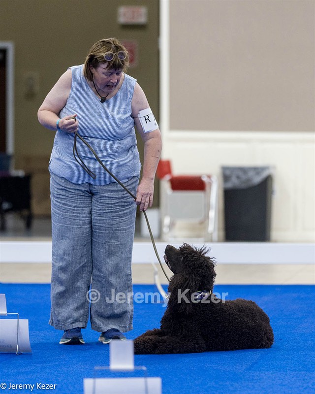 R15 - GCH CH LANDACRE'S NORDIC SAILOR DN CGC TKI