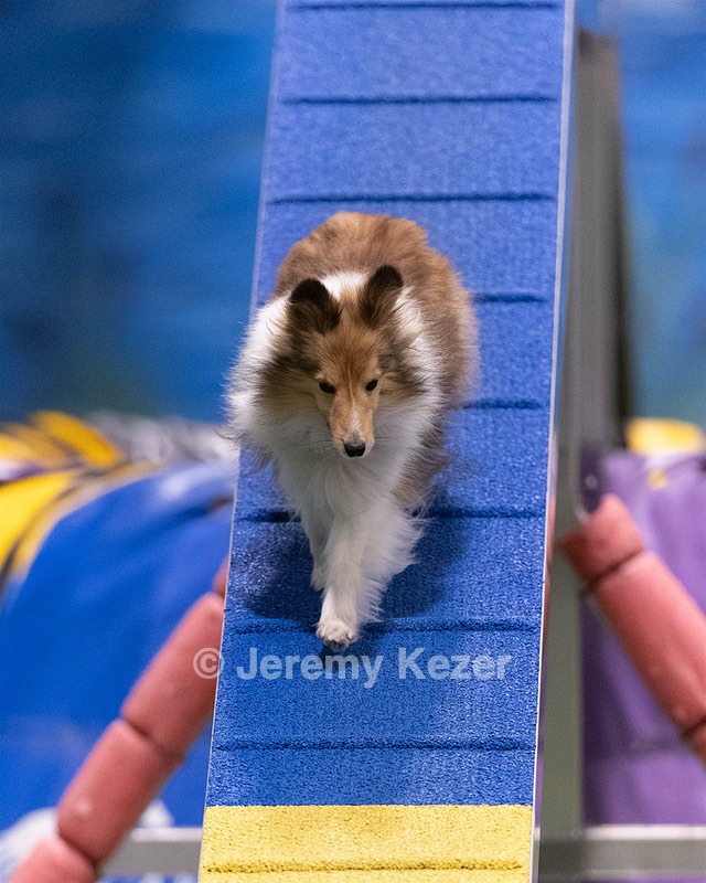 20260221-0456.jpg