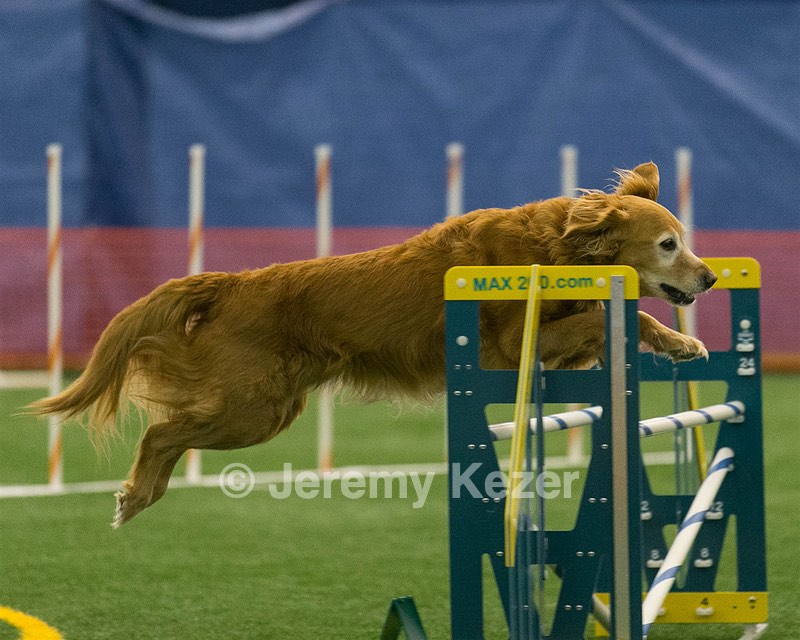 20150321-LEAP-0790.jpg