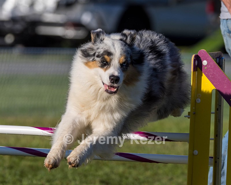 20230917-PVKC-2014.jpg