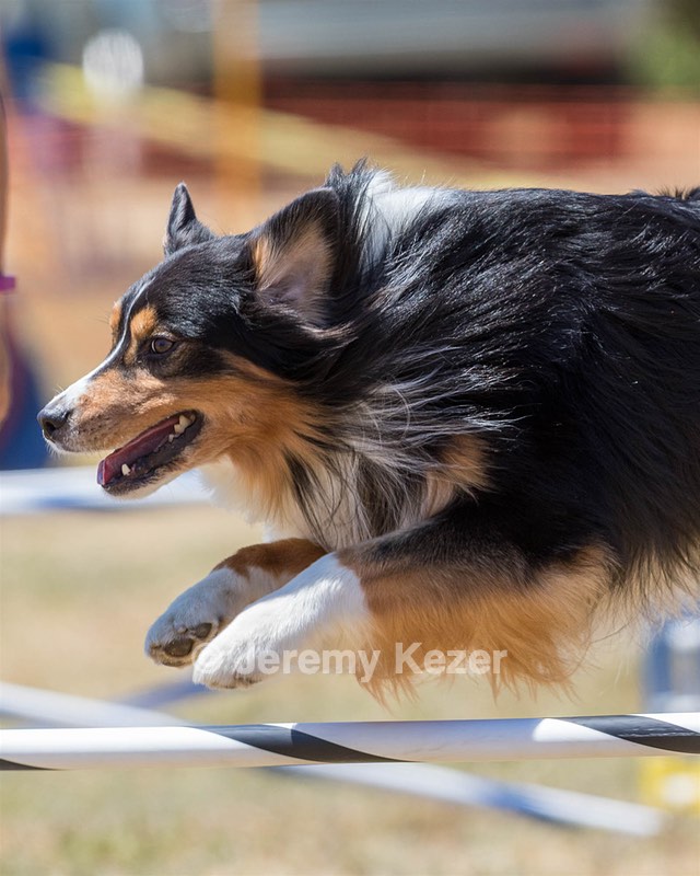 20160618-CCKC-1628.jpg