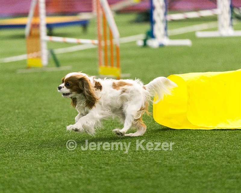 20150322-LEAP-0152.jpg