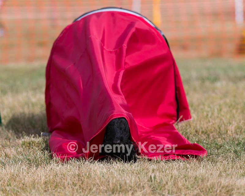 20150613-CCKC-0027.jpg