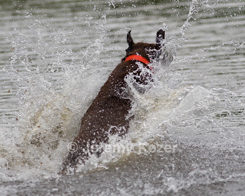 20080601-SRW-0717.jpg