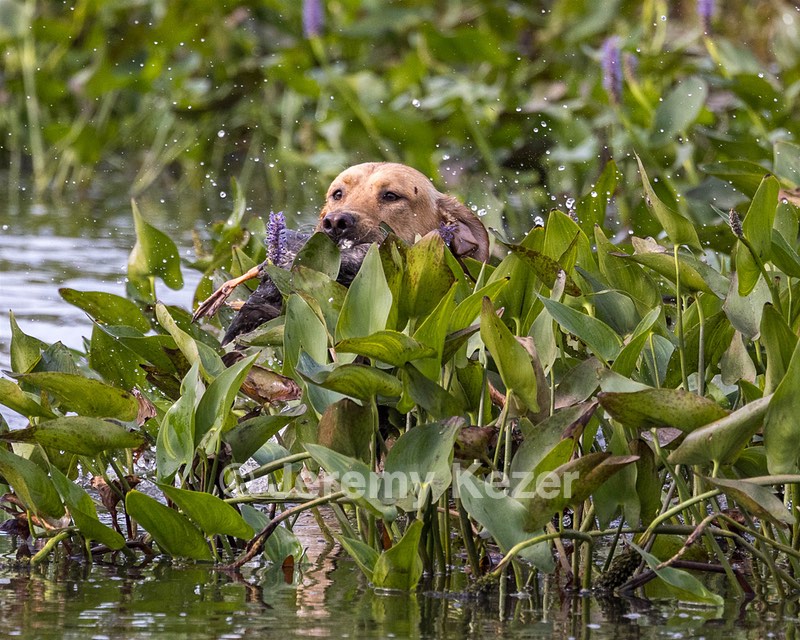 20220925-SHW-0002.jpg