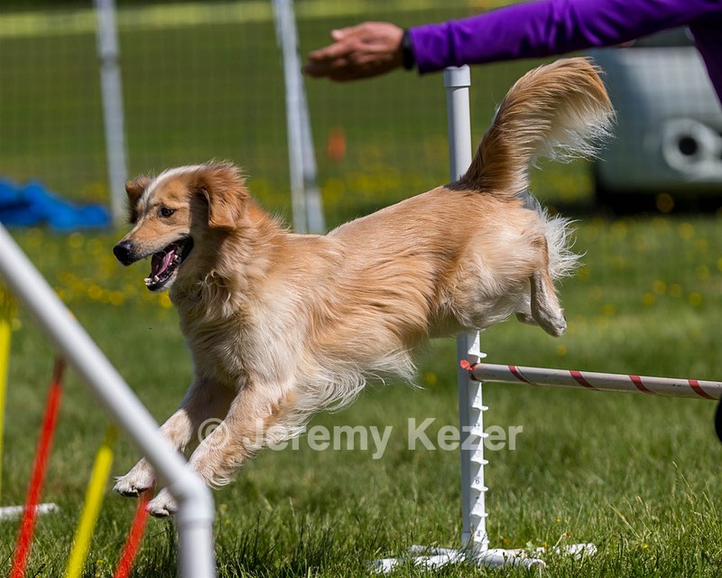 Ollie Erbe