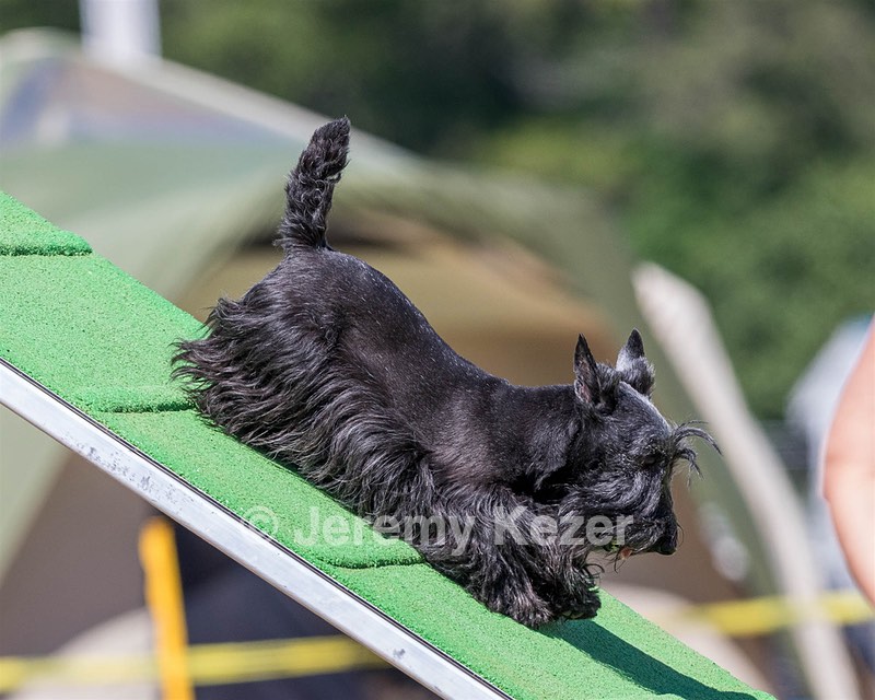 20160618-CCKC-2238.jpg