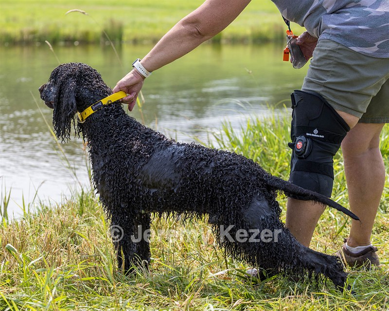 Arrow Kezer