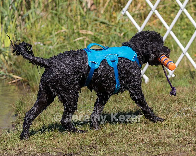 Fenwick Janet