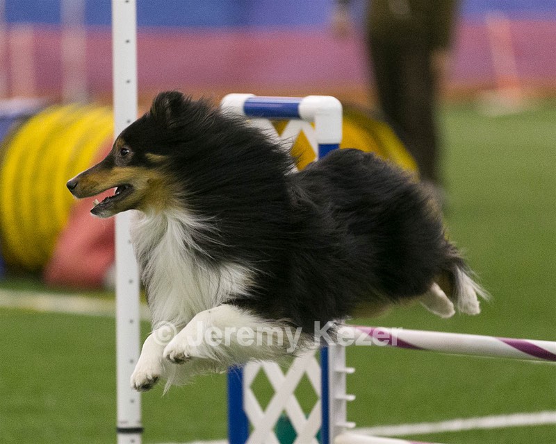 20150321-LEAP-0343.jpg