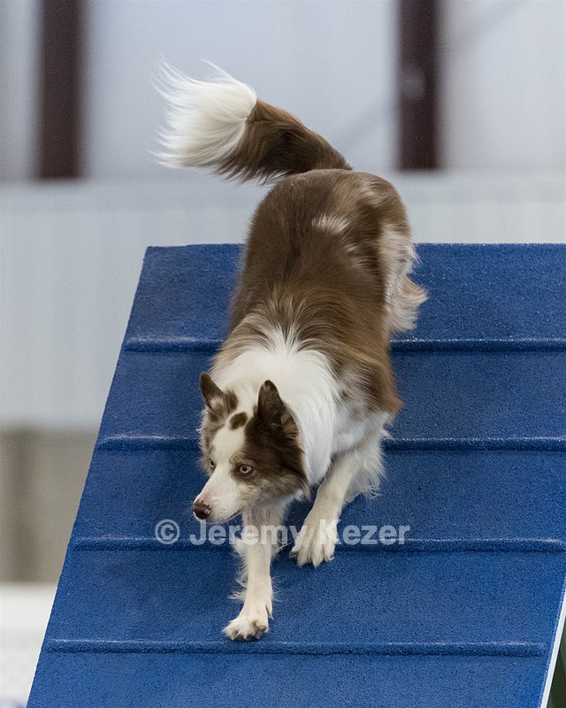 Furgus Standish