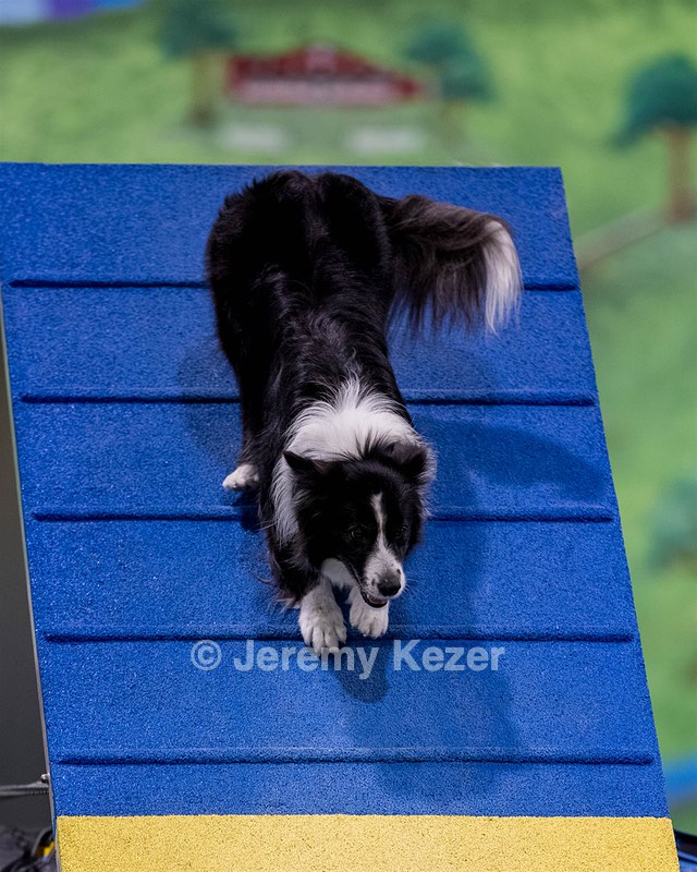 Breeze Schunk