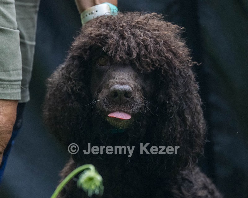 Ghillie Kezer
