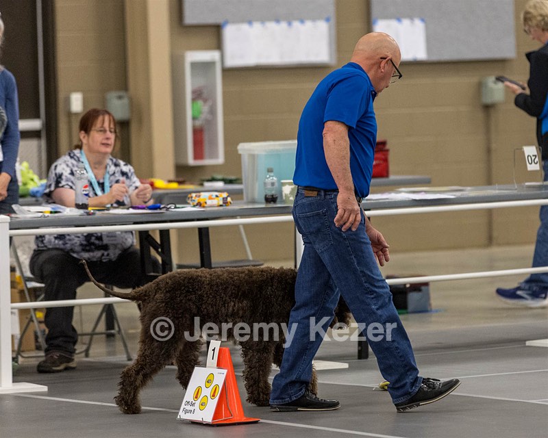 700 - GCH Blackthorn’s Lass That Loves A Sailor in Wicklow CD RM CGC