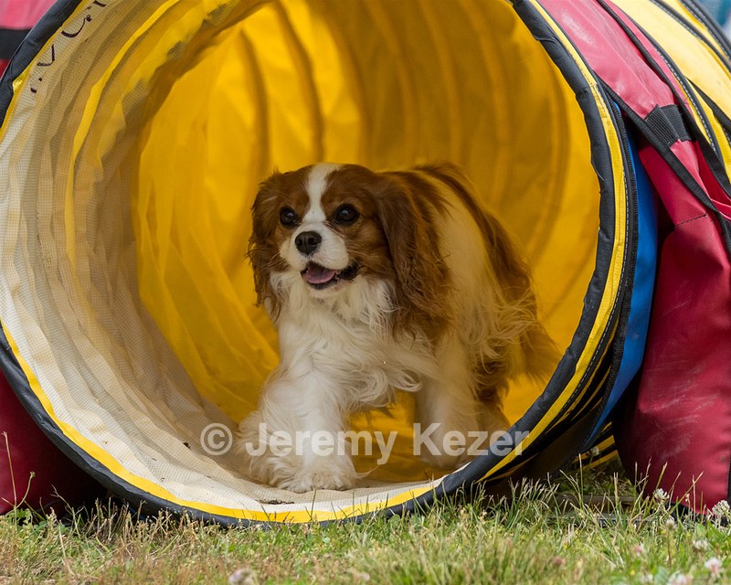 20190616-CCKC-1159.jpg