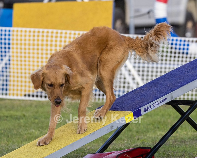 20230916-PVKC-1730.jpg